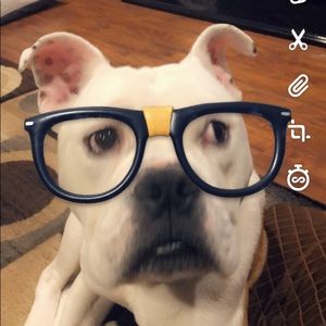 Meet your Posher, Lisa